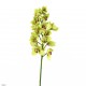 Orchidée Cymbidium ouverte 105cm - Vert