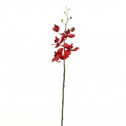 Orchidée Phalaenopsis 74cm - Rouge