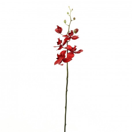 Orchidée Phalaenopsis 74cm - Rouge