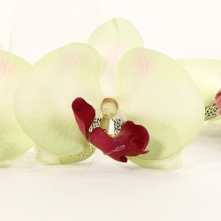 Fleurons d'Orchidée en sachet de 24 - Vert