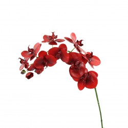 Orchidée Phalaenopsis 99cm - Rouge