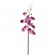 Orchidée Phalaenopsis double 88cm - Fushia