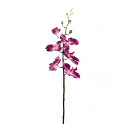 Orchidée Phalaenopsis double 88cm - Fushia