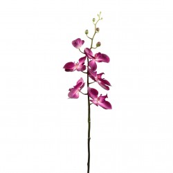 Phalaenopsis orchid 88cm