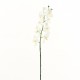 Orchidée Phalaenopsis 74cm - Blanc