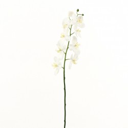 Orchidée Phalaenopsis 74cm - Blanc