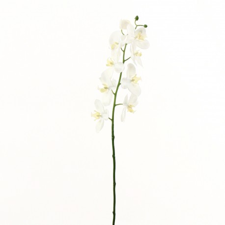 Orchidée Phalaenopsis 74cm - Blanc