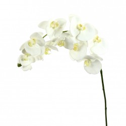 Phalaenopsis orchid 99cm