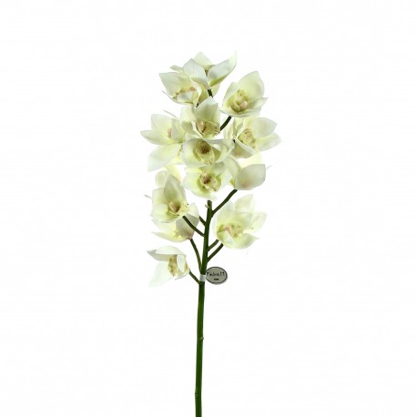 Orchidée Cymbidium ouverte 105cm - Blanc