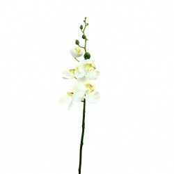 Orchidée Phalaenopsis double 88cm - Blanc