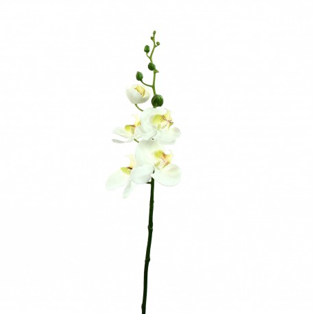 Orchidée Phalaenopsis double 88cm - Blanc