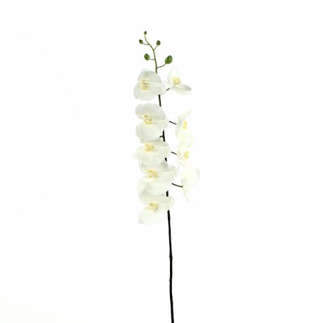 Orchidée Phalaenopsis 127cm - Blanc