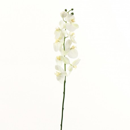 Orchidée Phalaenopsis 79cm - Blanc vert