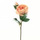 Pivoine ouverte avec bouton, tige courte 51cm - Corail