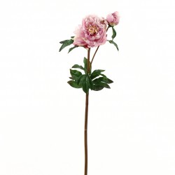 Peony 77,5cm