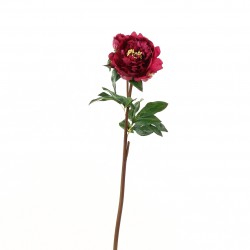 Pivoine 77.5cm - Fushia