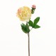 Pivoine ouverte avec bouton, tige courte 51cm - Jaune