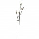 Tige de saule blanc 75cm - Marron Blanc