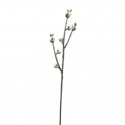 Pussy Willow stem 75cm