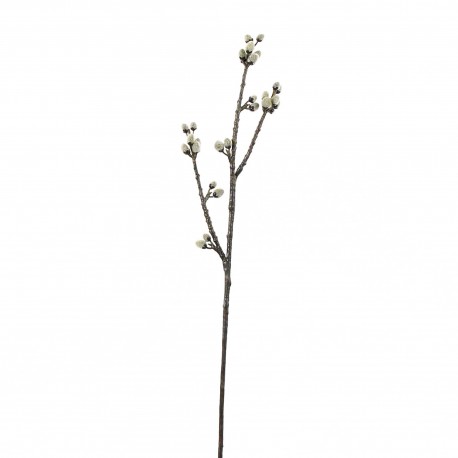 Tige de saule blanc 75cm - Marron Blanc