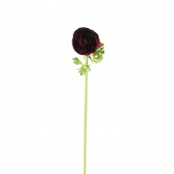 Ranunculus 53cm