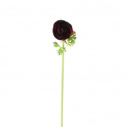 Ranunculus purple 53cm