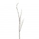 Tige de saule blanc 133cm - Marron Blanc