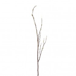 Tige de saule blanc 133cm - Marron Blanc