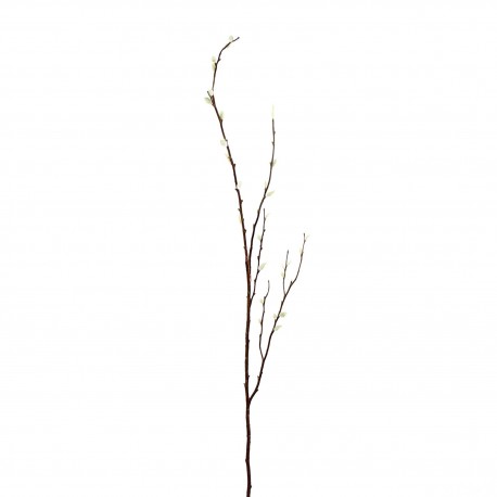 Tige de saule blanc 133cm - Marron Blanc