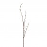 Tige de saule blanc 133cm - Marron Blanc