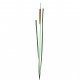 Herbe de roseau en bouton 110,5cm - Marron