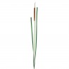 Herbe de roseau en bouton 110,5cm - Marron