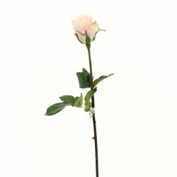 Rose Duchesse bouton tige courte 52cm - Rose
