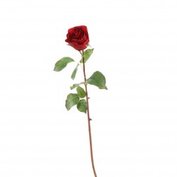 Dutchess bud Rose 61cm