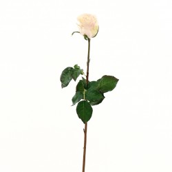 Rose Duchesse bouton 74cm - Pourpre clair