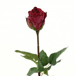 Rose Duchesse bouton tige courte 52cm - Rouge Fushia