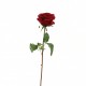 Rose Equatoriale 52cm - Rouge Noël