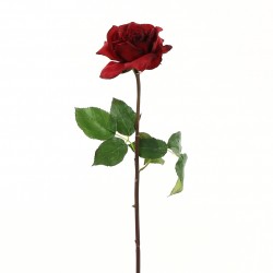 Rose Duchesse ouverte tige courte 51cm - Rouge Noël