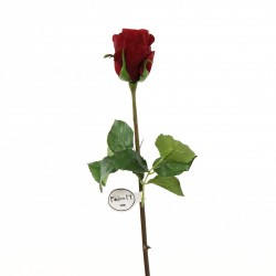 Rose Duchesse bouton tige courte 52cm - Rouge Noël