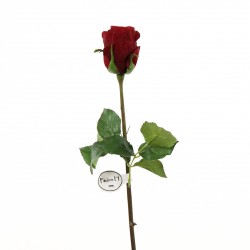 Dutchess bud Rose 52cm