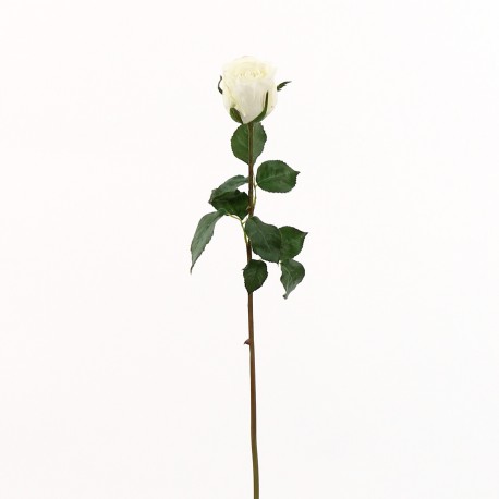 Rose Duchesse bouton 61cm - Blanc