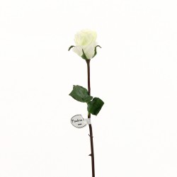 Rose Duchesse bouton tige courte 52cm - Blanc