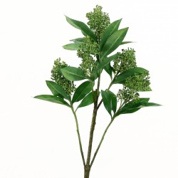 Skimmia stem 53cm