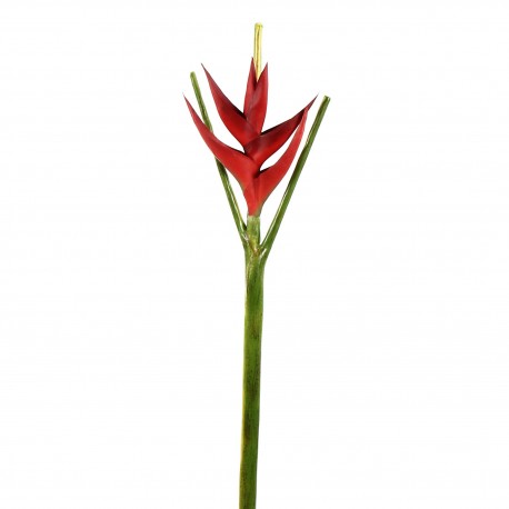 Torche Heliconia 113cm - Rouge