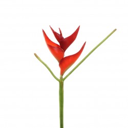 Torche Heliconia 36cm - Rouge clair