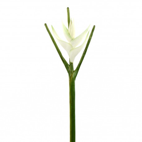 Torche Héliconia 113cm - Blanc