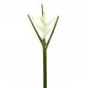 Torche Héliconia 113cm - Blanc