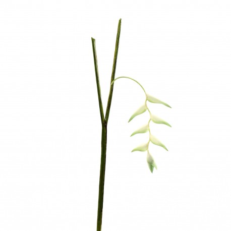 Torche Heliconia Pendula 91cm - Blanc