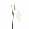 Torche Heliconia Pendula 91cm - Blanc