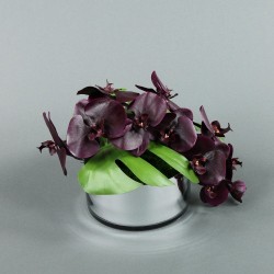 Round Silver - Orchidée Phalaenopsis pourpre